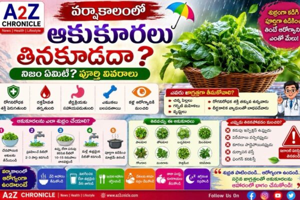 వర్షాకాలంలో ఆకుకూరలు తినకూడదా?