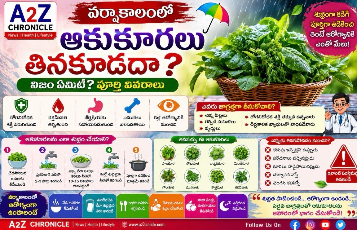 వర్షాకాలంలో ఆకుకూరలు తినకూడదా?
