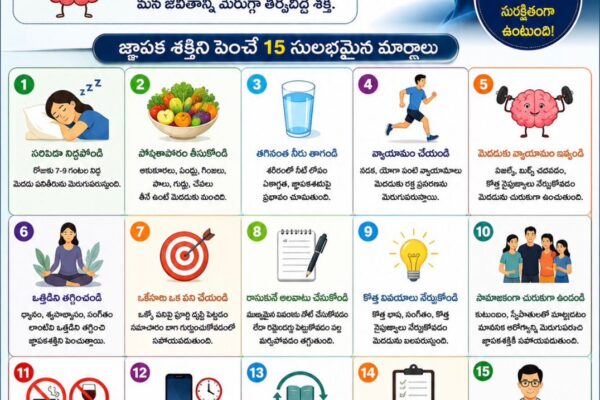 జ్ఞాపక శక్తిని పెంచుకుందాం..మెదడు పనితీరు