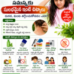 పేను కొరుకుడు సమస్యకు-ఇంటి చిట్కాలు | దురద, మంట తగ్గించుకోవడం ఎలా?